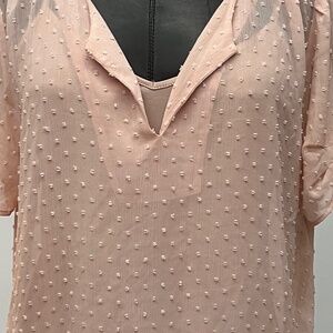 Blush Pink Swiss Dot Tunic Blouse | Sheer Short Sleeve Top